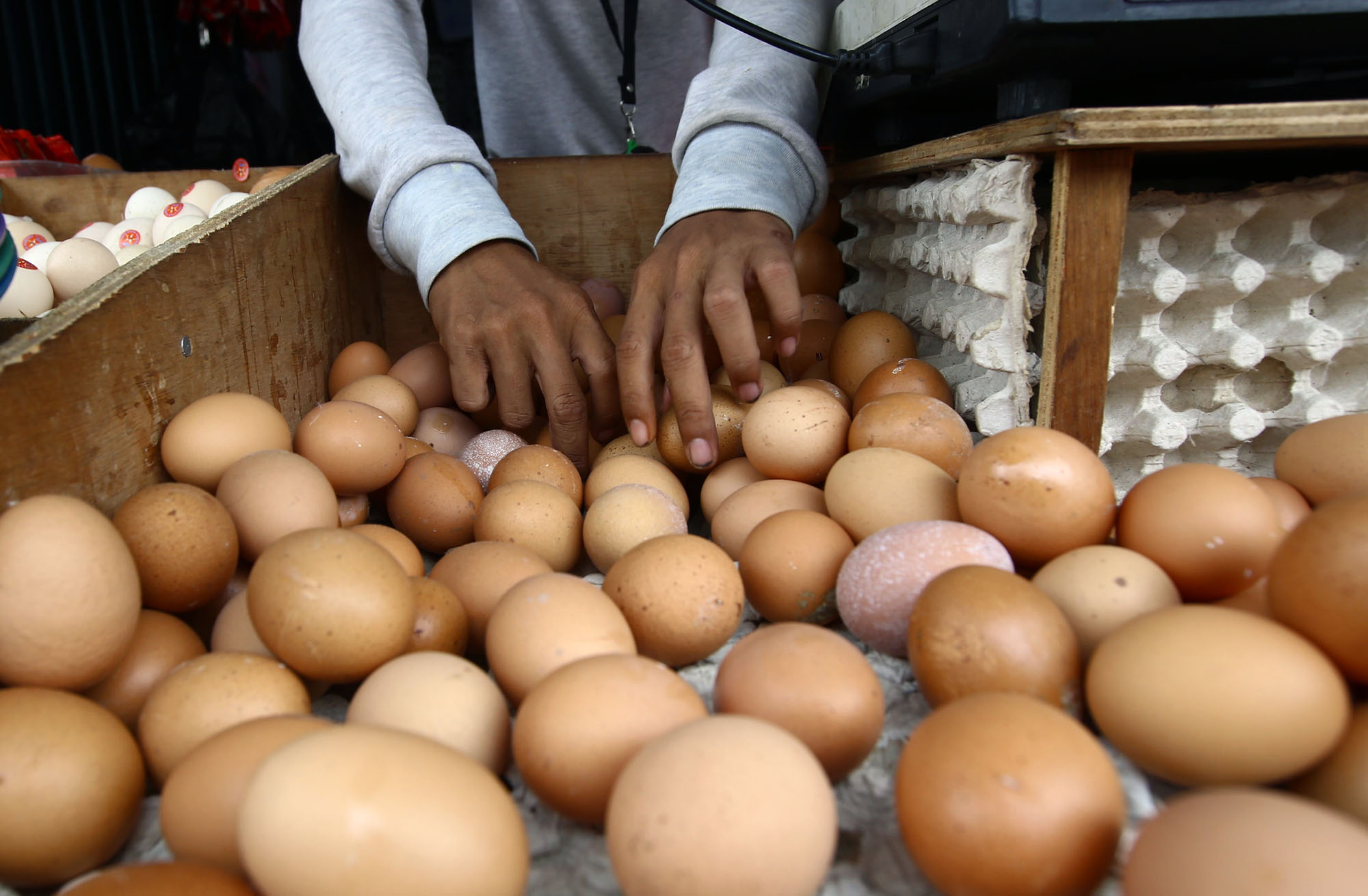harga-telur-ayam-tembus-rp-29500-di-jakarta_20220822_163907.jpg
