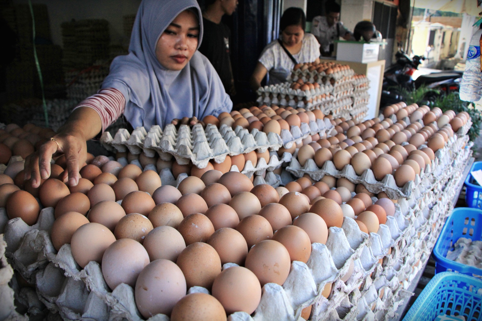 harga-telur-melonjak-naik-di-pasar-tradisional_20180719_070841.jpg