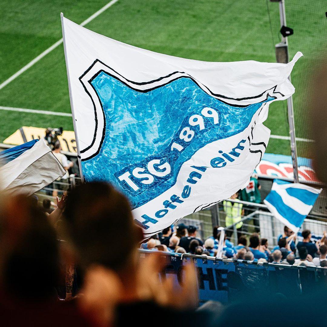 hoffenheim-salah-satu-kontestan-liga-jerman-2020.jpg