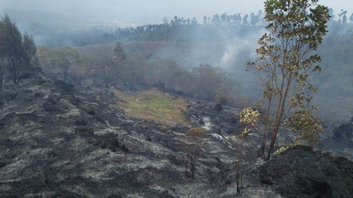 hutan-gunung-sindoro-yang-terbakar_20180914_142556.jpg
