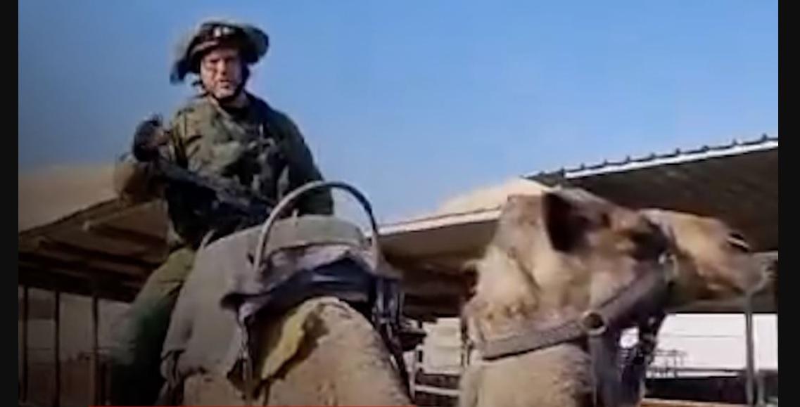 idf-naik-unta-di-gaza.jpg