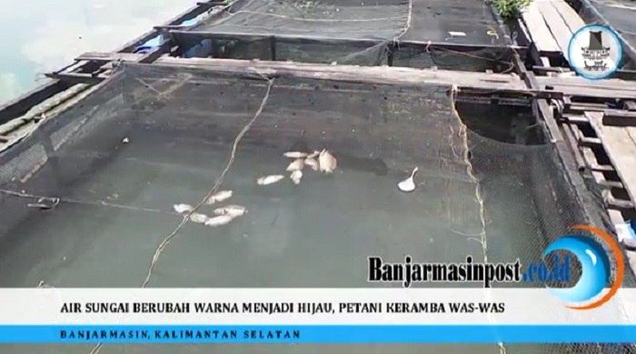 ikan-mati_20160915_120847.jpg
