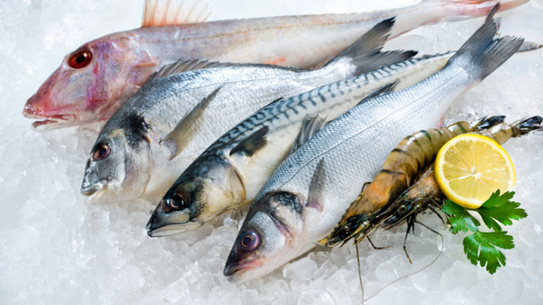 ikan-segar_20170212_193236.jpg