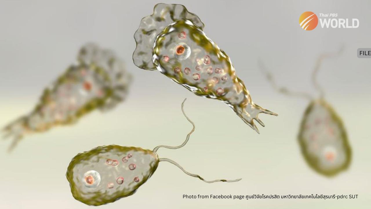 ilustrasi-amoeba-pemakan-otak-times-of-india.jpg