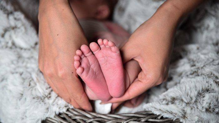 ilustrasi-bayi-2663.jpg