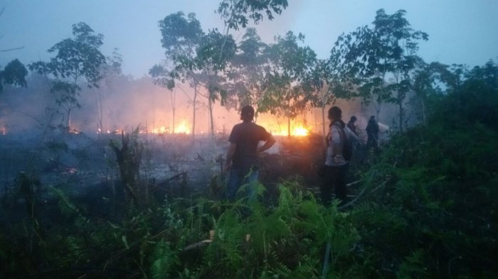 ilustrasi-kebakaran-hutan_20180528_143743.jpg