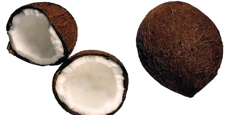 ilustrasi-kelapa_20150707_092301.jpg