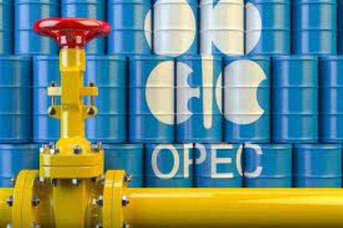 ilustrasi-opec-kk.jpg