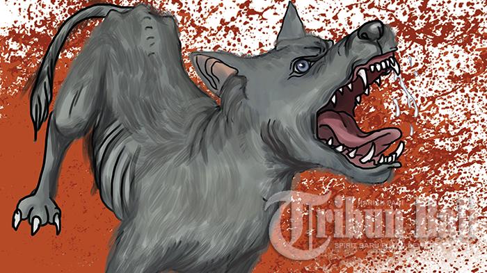 ilustrasi-rabies_20160103_212454.jpg