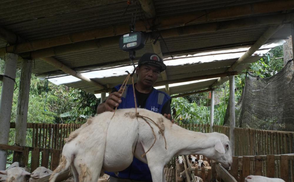 Jelang Idul Adha, Ini Cara Mudah Beli dan Optimalkan Distribusi Qurban ke Wilayah Prioritas