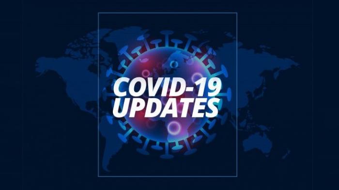ilustrasi-update-covid-19-global-25-desember-2020-ilustrasi-update-corona.jpg