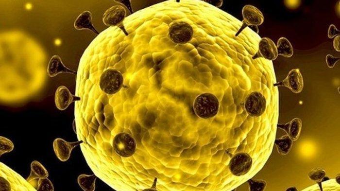 ilustrasi-virus-corona-9990821.jpg