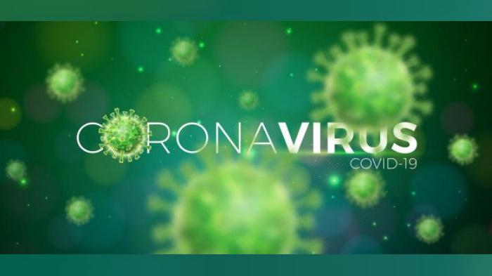 Penularan Virus Corona Bisa Terjadi Melalui Kentut, Simak Penjelasan Dokter Erlang Samoedro