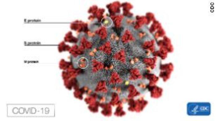 ilustrasi-virus-corona7.jpg