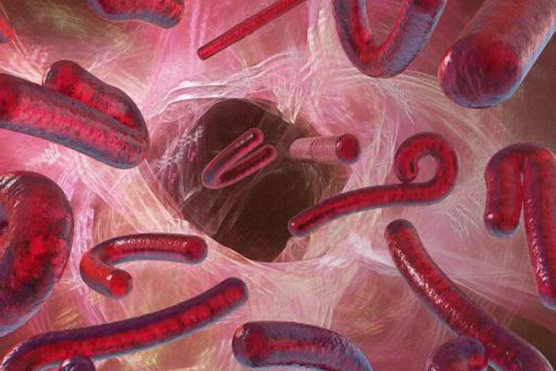 ilustrasi-virus-ebola.jpg