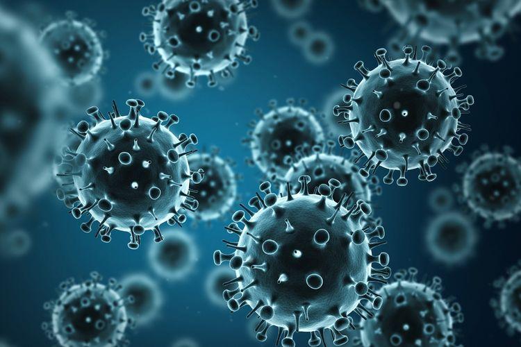 ilustrasi-virus-nipah.jpg