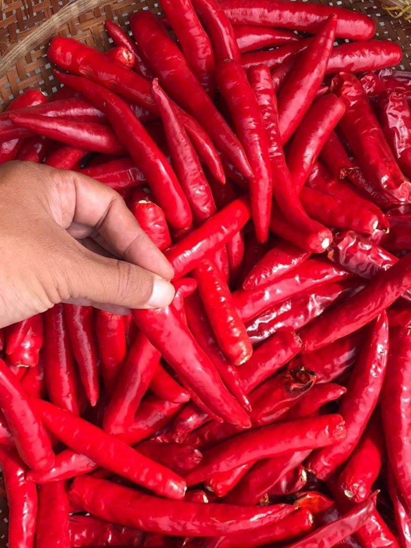 ilustrasicabai-merah-besar-bahan-pokok-sembako.jpg