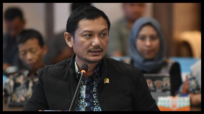 indrajaya-pkb-komisi-ii-dpr.jpg