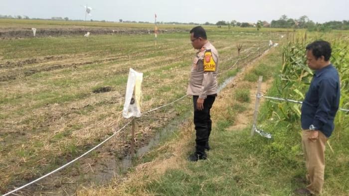 Iptu Rudiana Pimpin Langsung Program Buka Lahan Tidur jadi Produktif di Desa Suranenggala