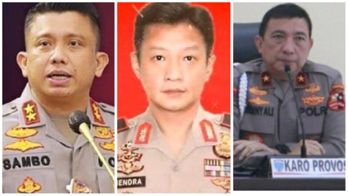 Shafqatsiz ona porno Pamela Andersenning mushuki