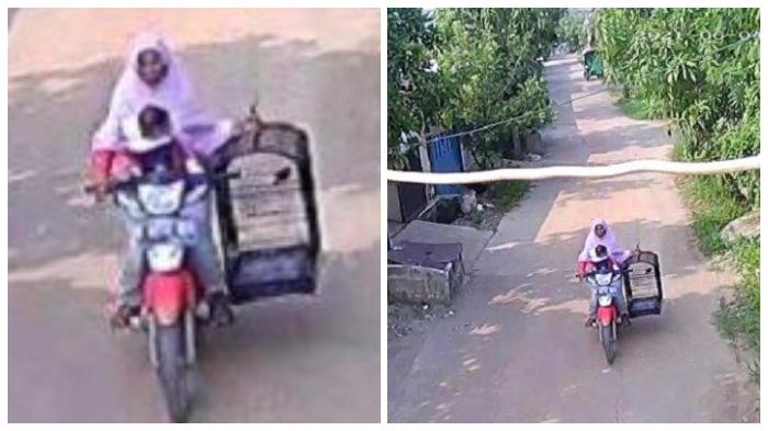 irt-di-bekasi-nekat-curi-burung-seharga-rp-3-juta-milik-polisi-gendong-anak-saat-beraksi.jpg