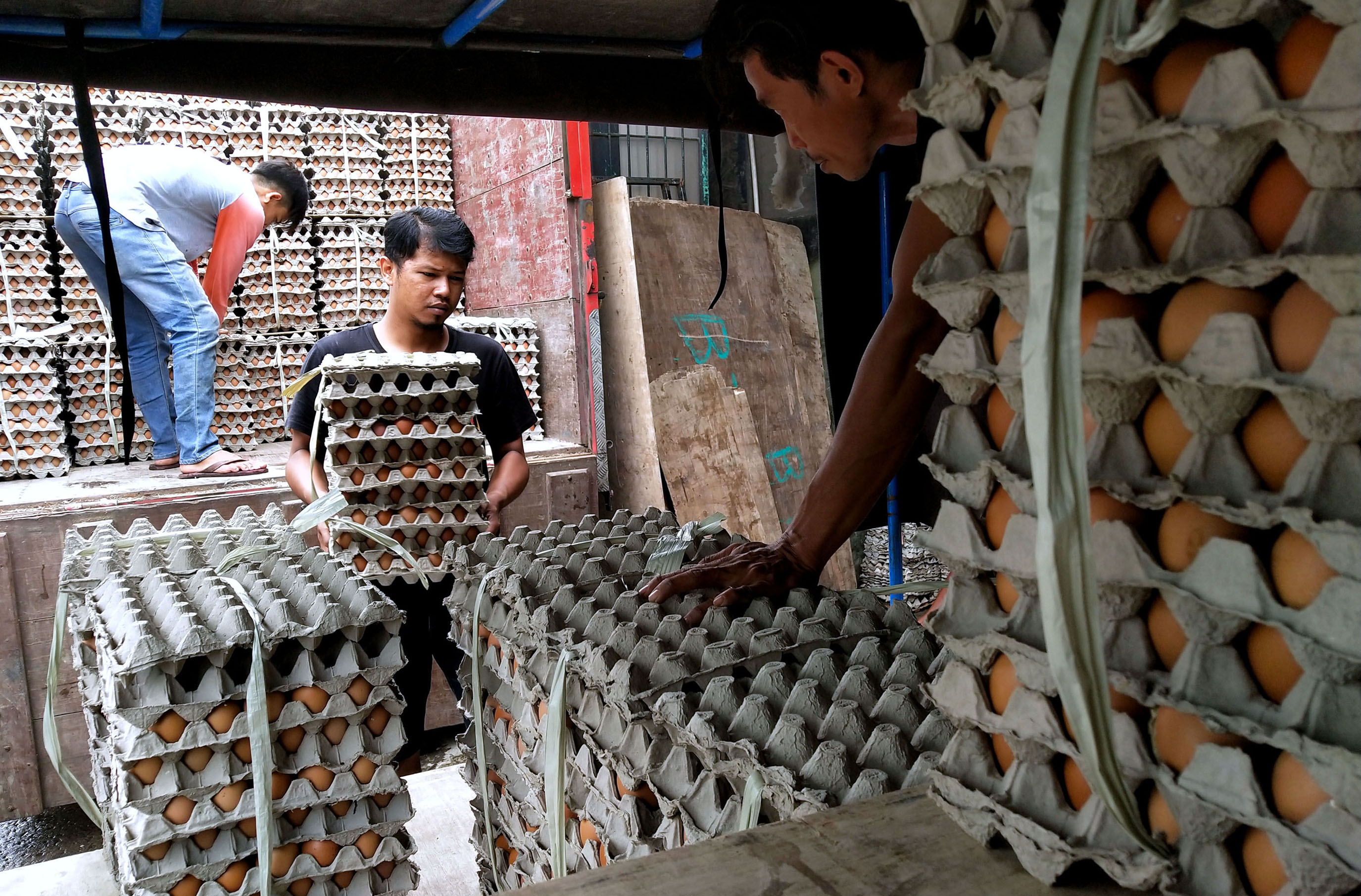 jelang-tahun-baru-imlek-harga-telur-ayam-merangkak-naik_20210210_222138.jpg