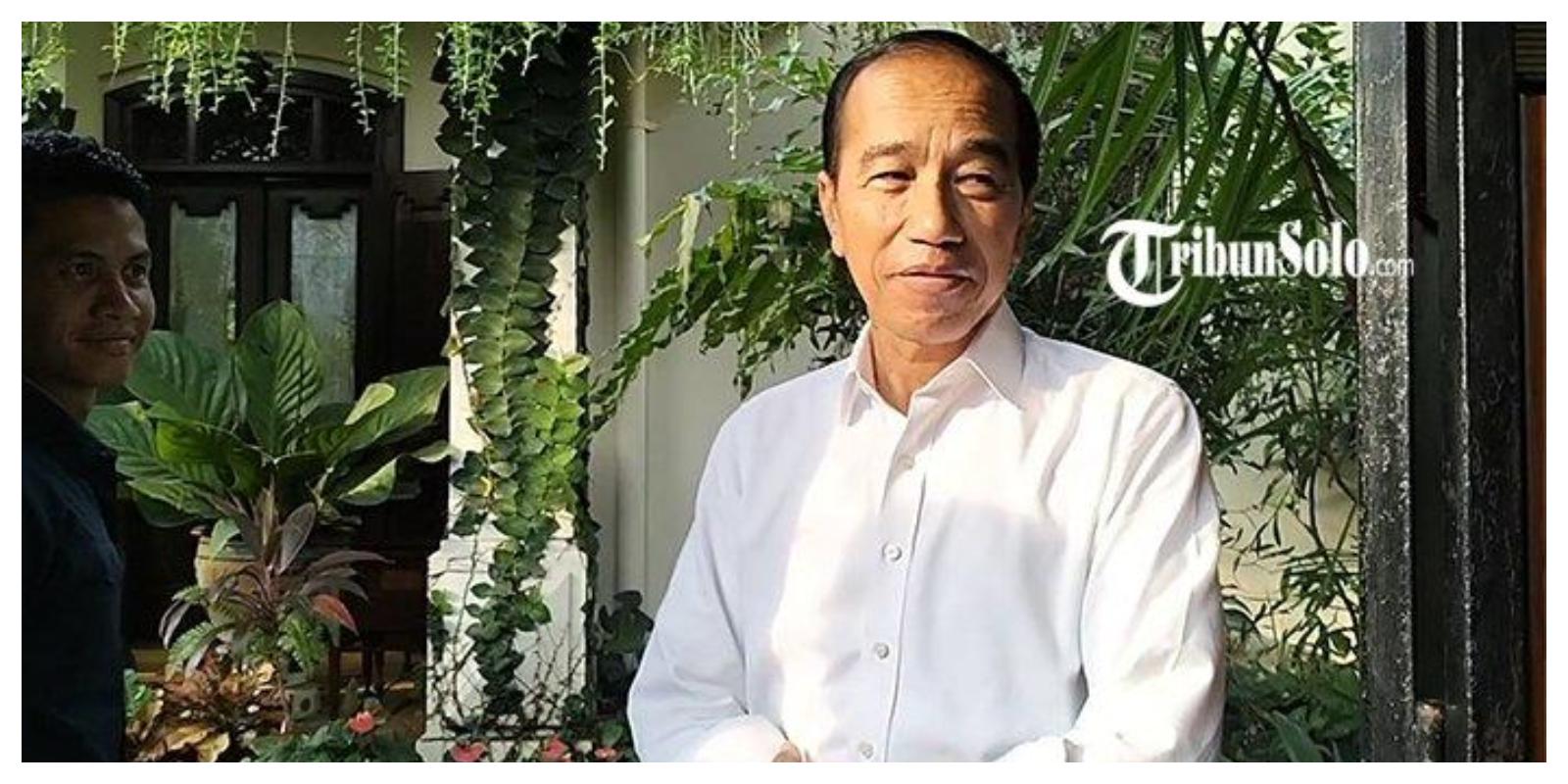 jokowi-di-solo-background-pohon.jpg