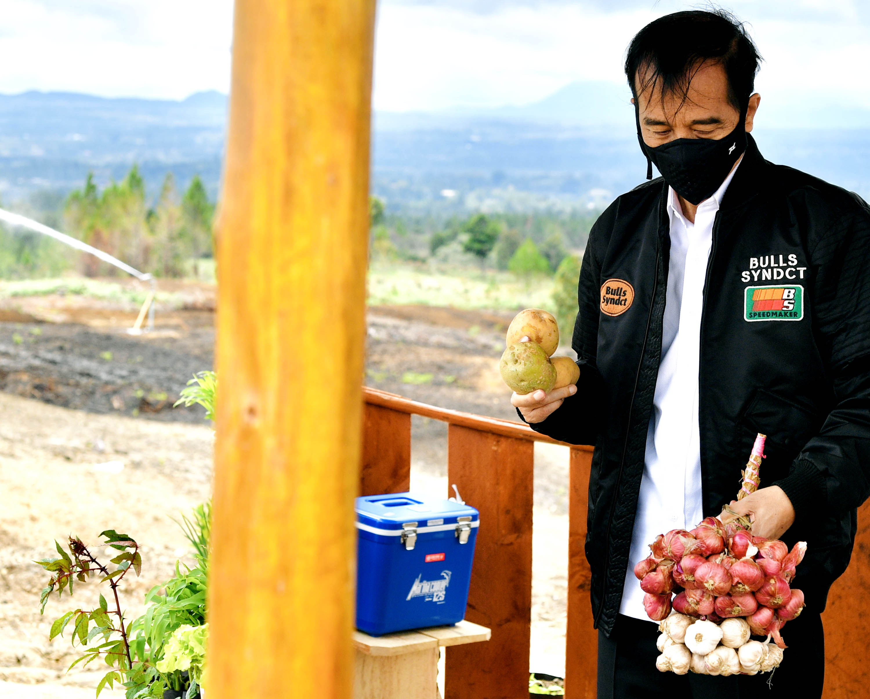 jokowi-tinjau-kawasan-lumbung-pangan-di-humbang-hasundutan_20201027_231029.jpg