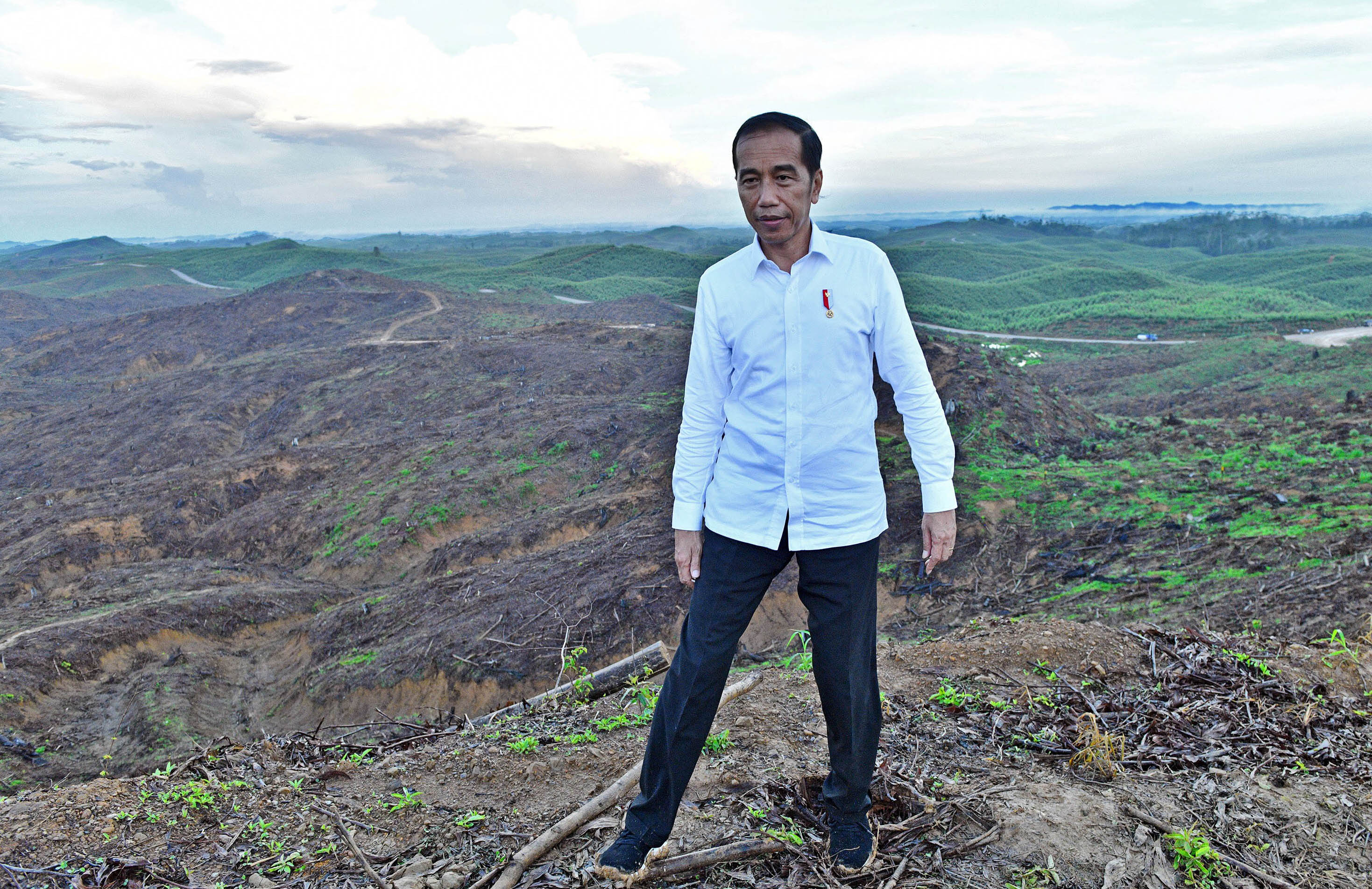jokowi-tinjau-progres-persiapan-pembangunan-ibu-kota-baru_20191217_194601.jpg