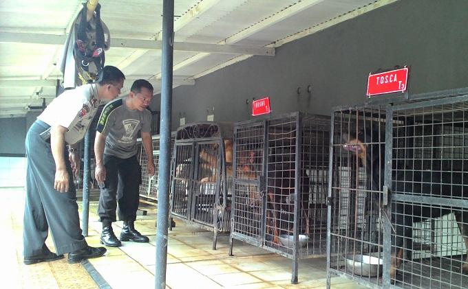 kanit-satwa-k-9-direktorat-sabhara-polda-metro-jaya-anjing-pelacak_20150212_092843.jpg