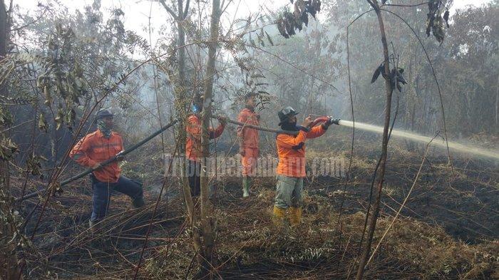 karhutla-di-meranti-berhasil-dipadamkan.jpg