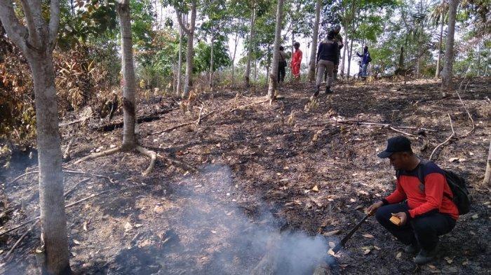 kebakaran-hutan-dan-lahan-atau-karthutla-di-ppu.jpg