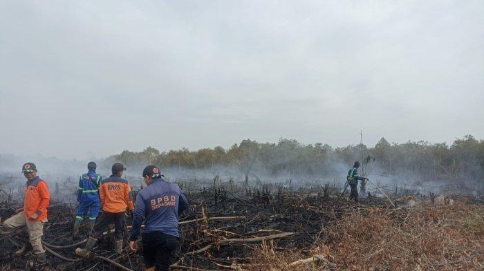 El Nino Bisa Picu Kebakaran Hutan, Anak Rentan Pneumonia karena Asap, Hindari Aktivitas Luar Ruangan