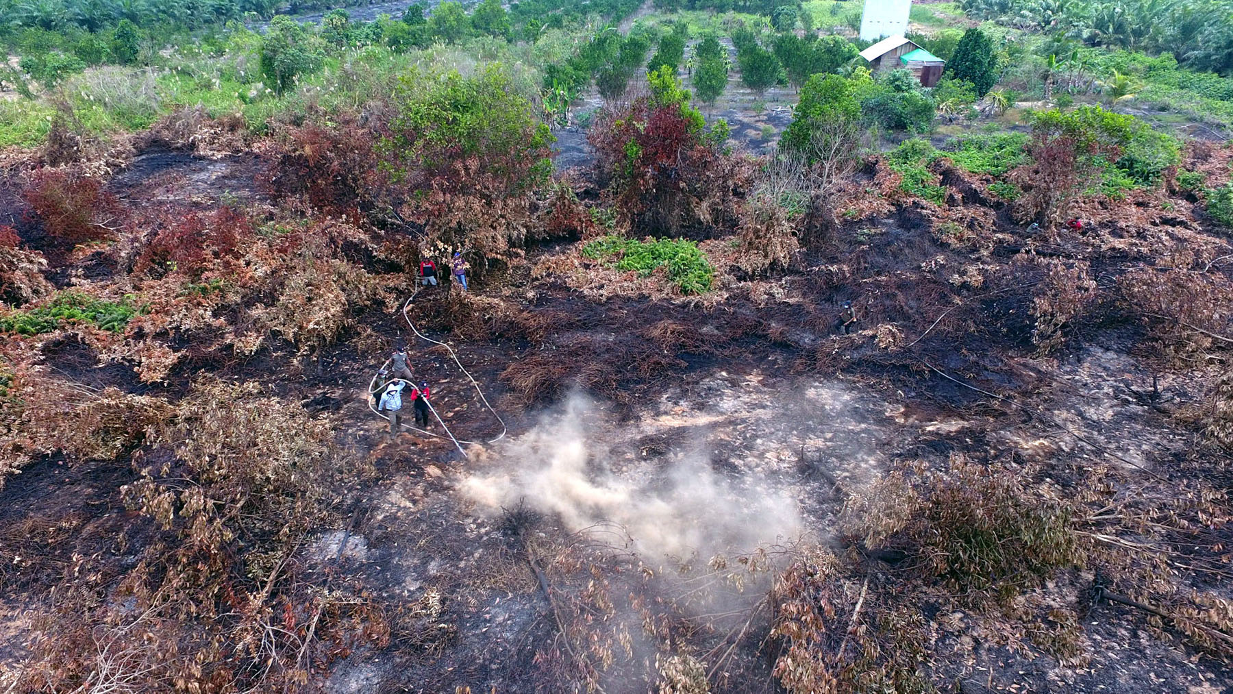 kebakaran-lahan-gambut-di-petung-penajam-paser-utara_20190918_162717.jpg