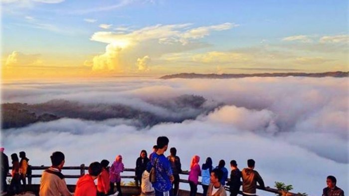 kebun-buah-mangunan_1_20170826_100429.jpg