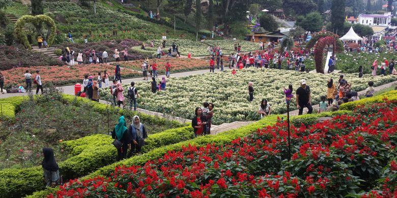 Cuaca Malang dan Batu 11 Maret 2026: Pagi Cerah Berawan, Sore Hujan Lebat Merata di Kota Batu