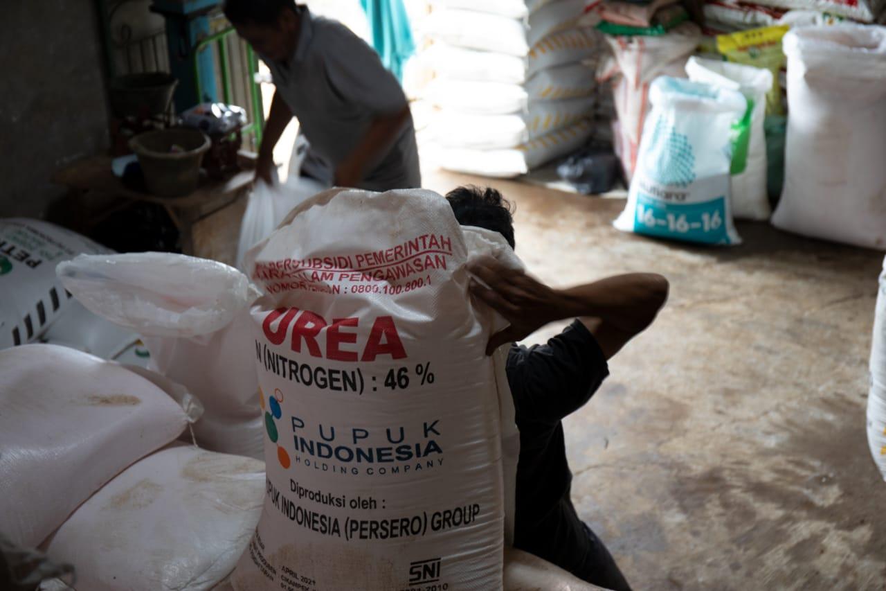 kementan-bantah-subsidi-pupk-langka.jpg