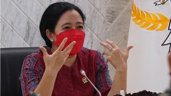 ketua-dpr-ri-puan-maharani-2005.jpg
