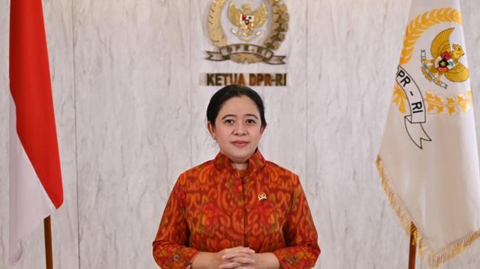 ketua-dpr-ri-puan-maharani-kelangkaan-oksien-0507.jpg