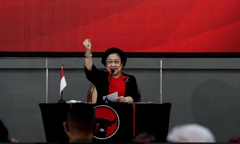 ketua-umum-dpp-pdi-perju.jpg