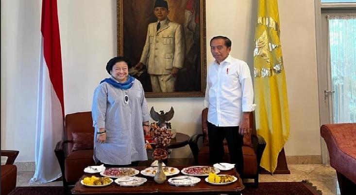 ketua-umum-dpp-pdi-perjuangan-megawati.jpg