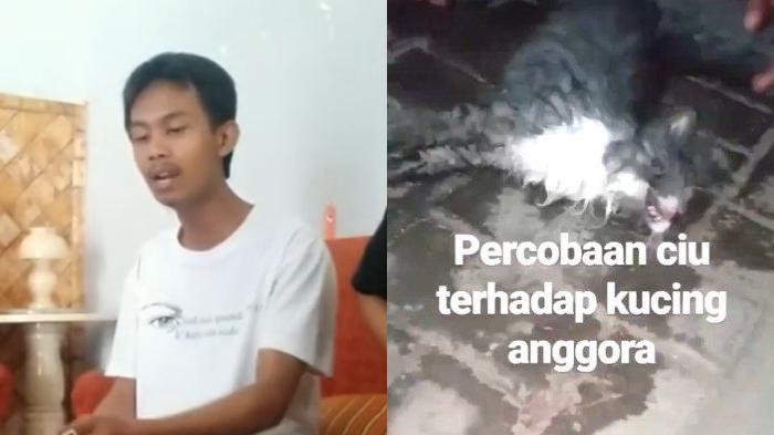 klarifikasi-pria-perekam-video-kucing-dicekoki-miras-17102019.jpg