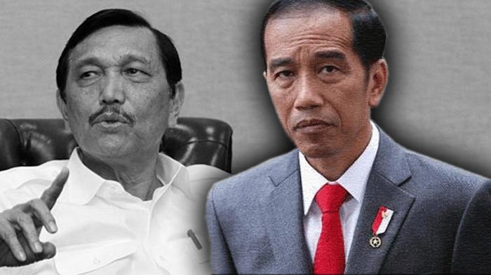 kolase-luhut-dan-jokowi.jpg