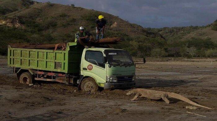 komodo-truk.jpg