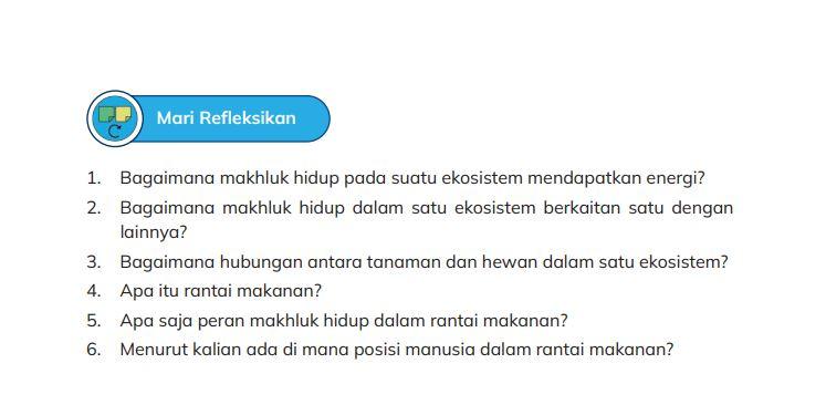 kunci-jawaban-ipas-kurikulum-merdeka-kelas-5-halaman-47.jpg