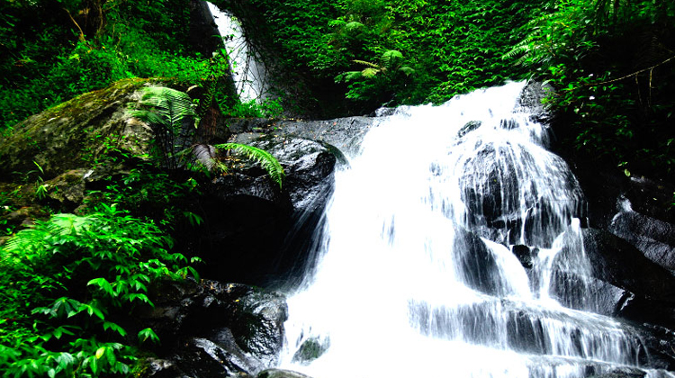 lawean-air-terjun-sendang-tulungagung_20150107_182032.jpg