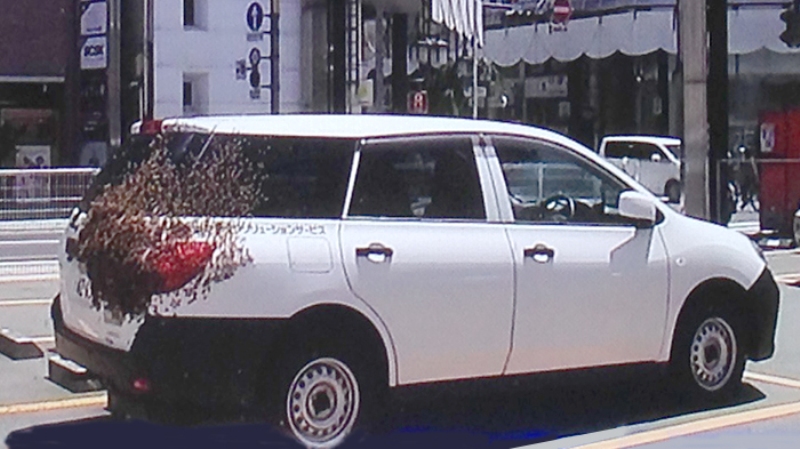 lebah-mobil-nih2_20180724_181842.jpg