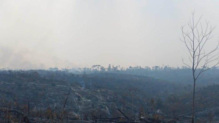 lebih-kurang-100-hektare-lahan-di-kecamatan-maro-sebo-ulu-kabupaten-batanghari-terbakar.jpg