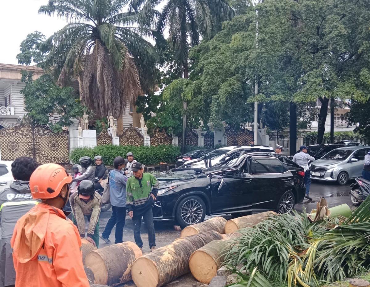 lexus-tertimpa-pohon-di-pondok-indah.jpg
