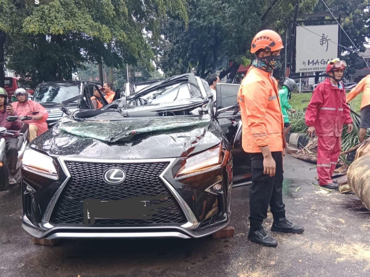 lexus-tertimpa-pohon.jpg